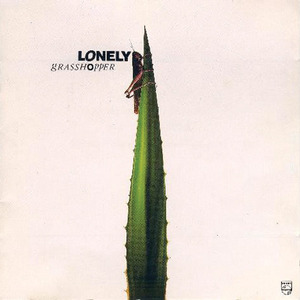 国产av不卡网站
