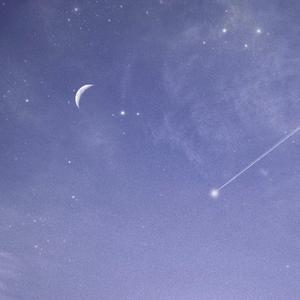 国产av不卡网站
