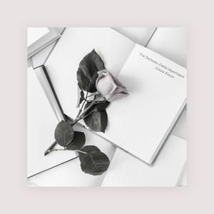 国产av不卡网站
